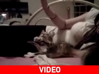 Κάνε ό,τι κάνω…